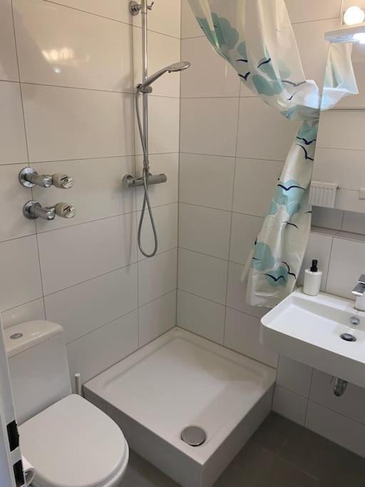 Schoene, Kleine, Gemuetliche Wohnung - Stadtmitte Майнц Экстерьер фото