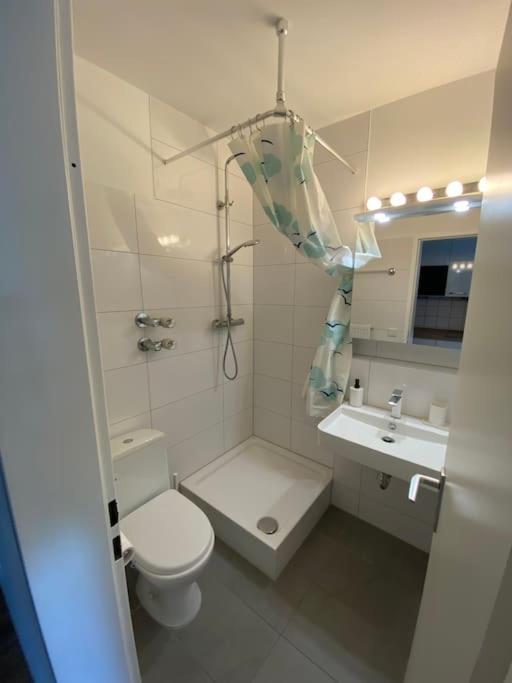Schoene, Kleine, Gemuetliche Wohnung - Stadtmitte Майнц Экстерьер фото